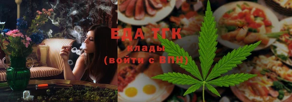 дмт Бородино