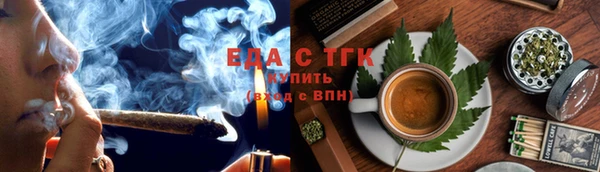 дмт Бородино