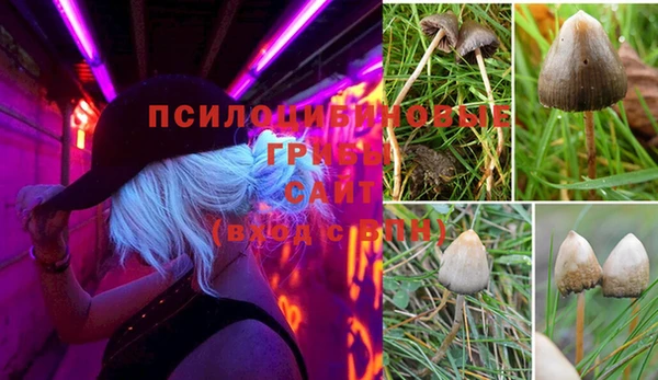 круглые Бронницы