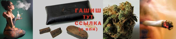 дмт Бородино