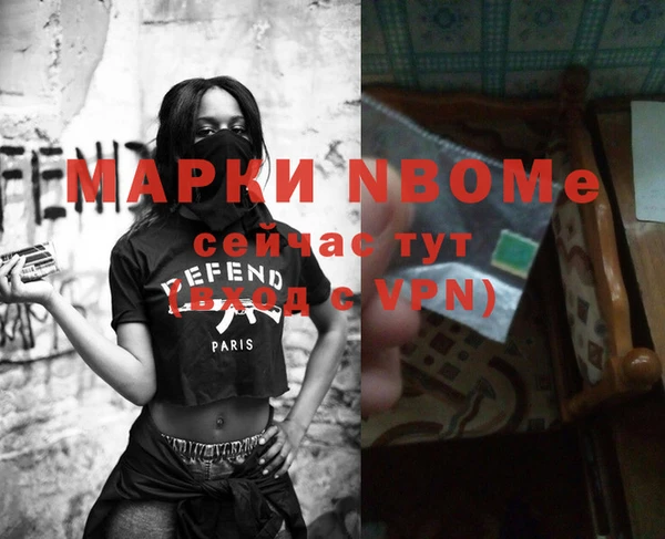 дмт Бородино