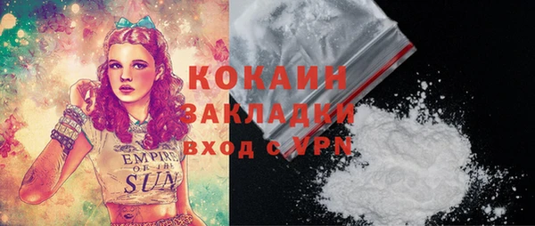 дмт Бородино
