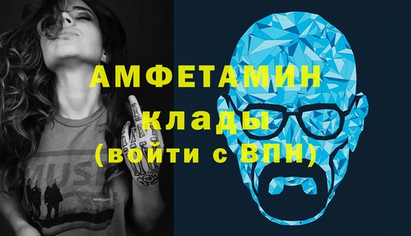 дмт Бородино