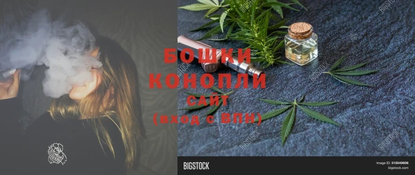 круглые Бронницы