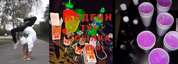 дмт Бородино
