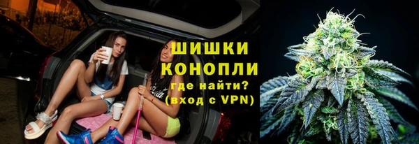 дмт Бородино