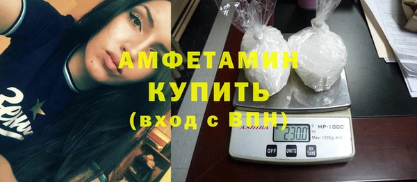 дмт Бородино