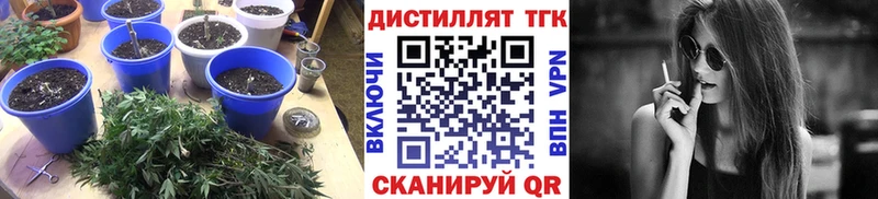 OMG как войти  Балашиха  Дистиллят ТГК концентрат 