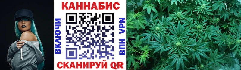 Шишки марихуана сатива  как найти   Балашиха 